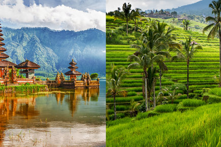 indonesia-bali-ubud_0.png