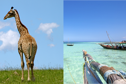 safari-o-melhor-do-quenia-zanzibar-saida-de-lisboa_0.png