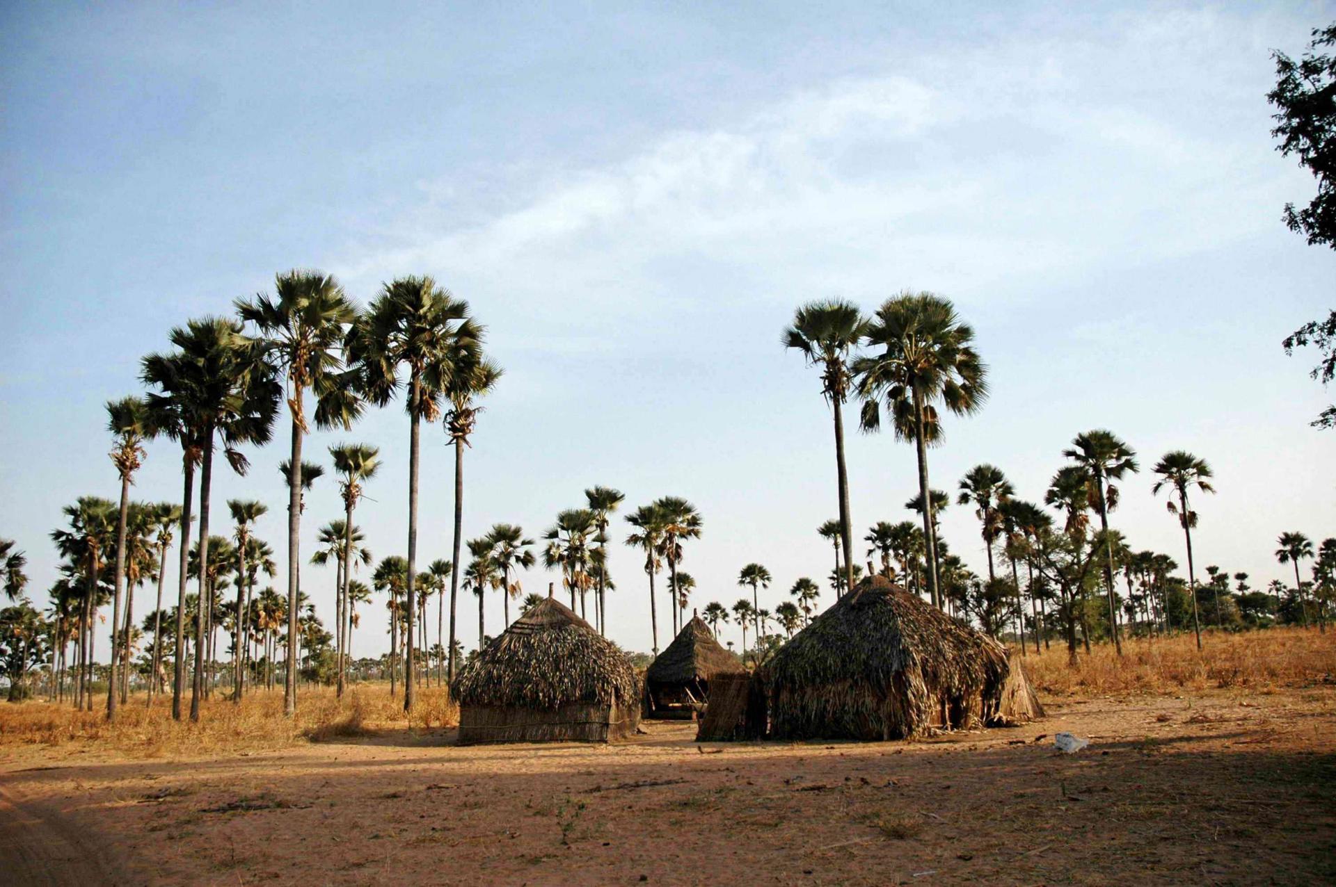 Senegal - Lago Rosa 39 (4)