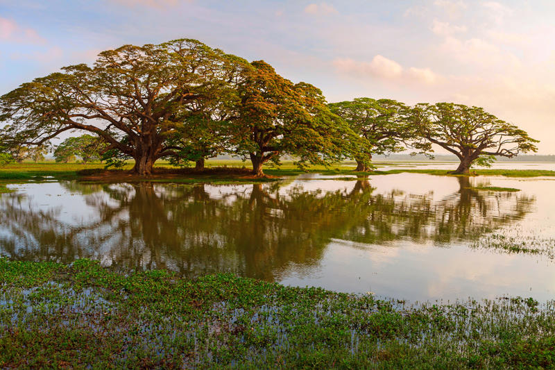 Tissamaharama, Sri Lanka