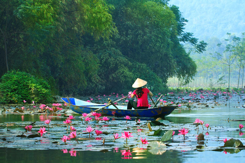 shutterstock_347717201